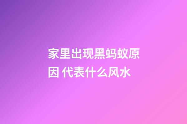 家里出现黑蚂蚁原因 代表什么风水